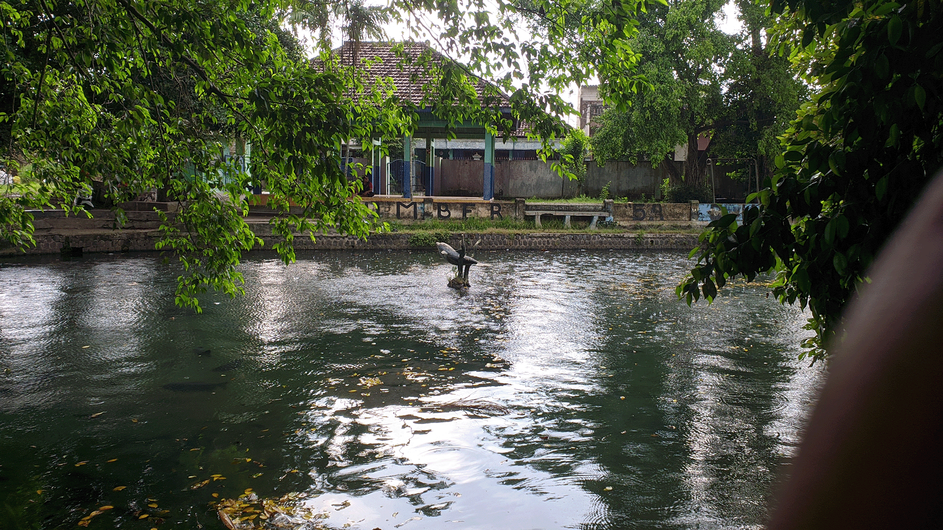 Sumber Gadung